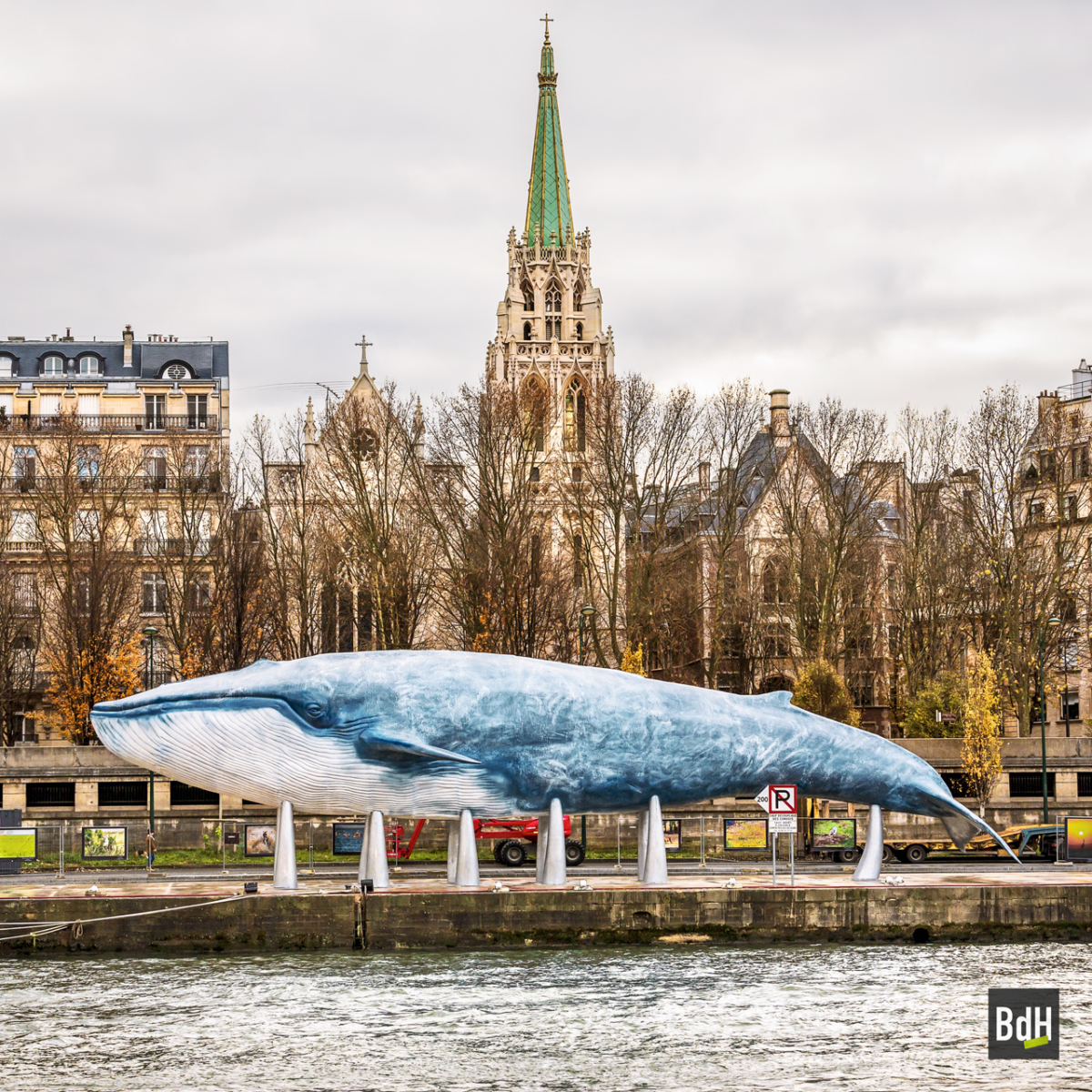 La Baleine Bleue à Paris le 4 Décembre 2015 pendant la COP21. Projet de l'association Un cadeau pour la terre. Réplique en résine grandeur nature d'une baleine bleue de 33,6 mètres de long, 8,40 m de haut et 14,30 m de large. Découverte en 1912 près de l'ïle Géorgie du Sud.
