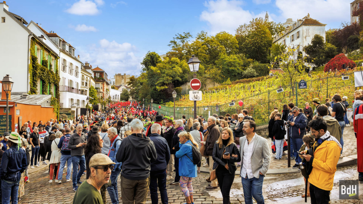 90ème anniversaire de 'La Fête des Vendanges de Montmartre' le 14 Octobre 2023. La vigne du Clos Montmartre